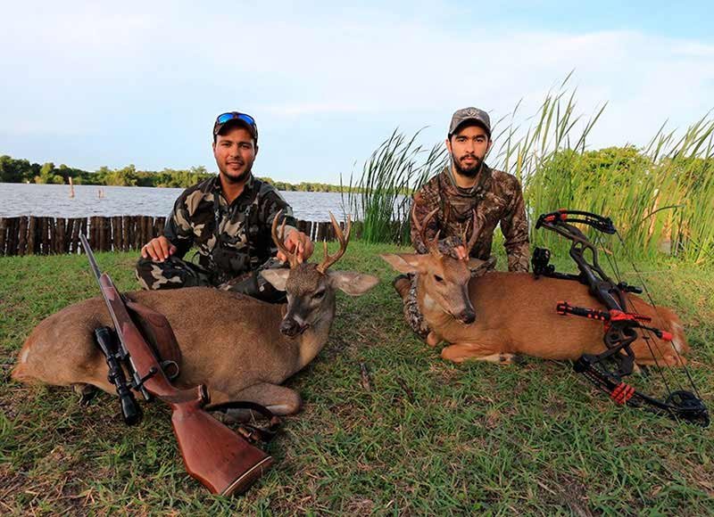 Central American whitetail gallery