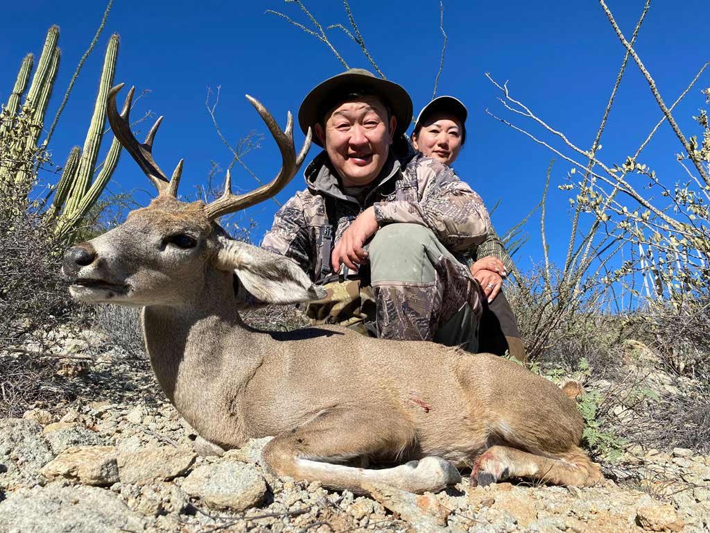 Coues whitetail hunting gallery