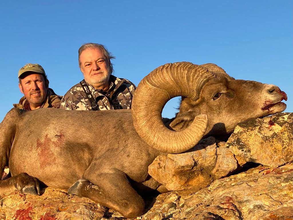 Desert bighorn hunting gallery