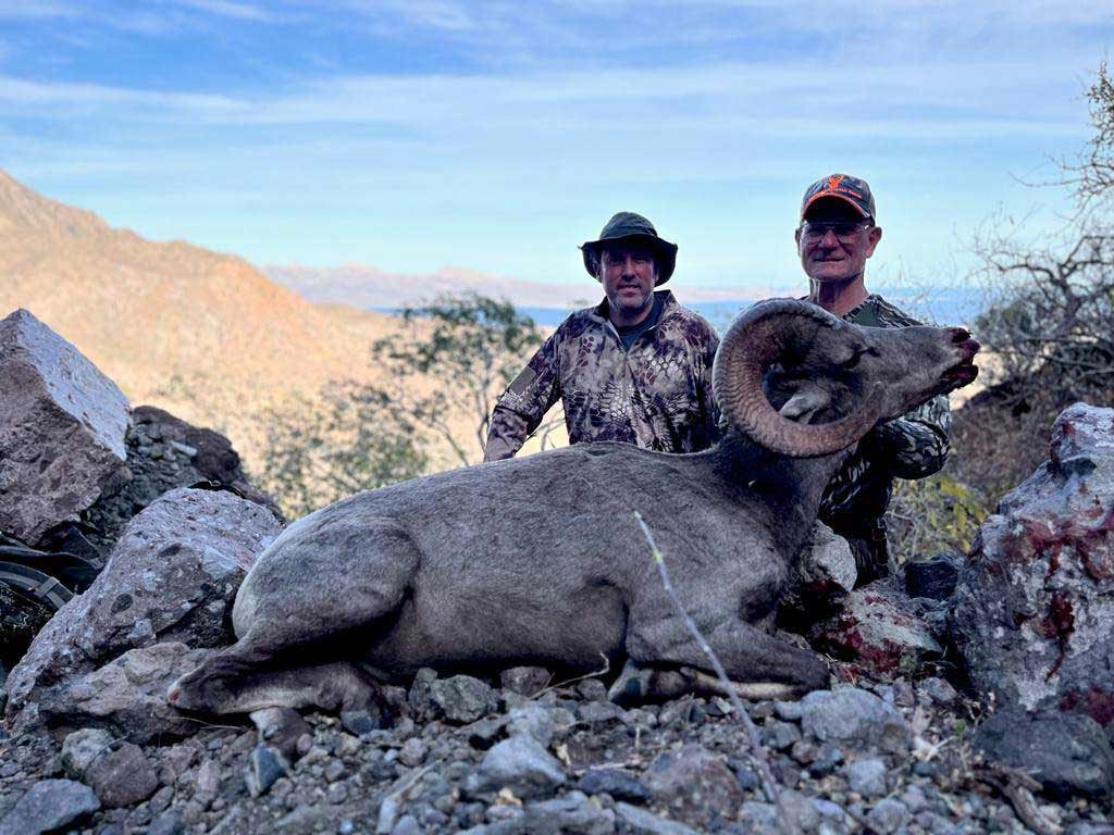 Northwestern Mexico sheep hunt