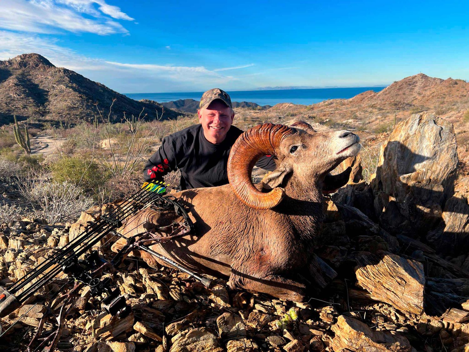 Desert bighorn safari memory