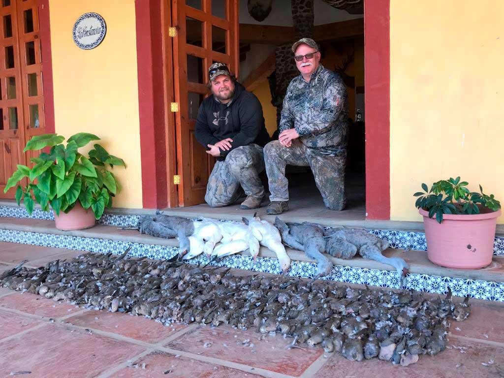 Dove and quail hunting gallery