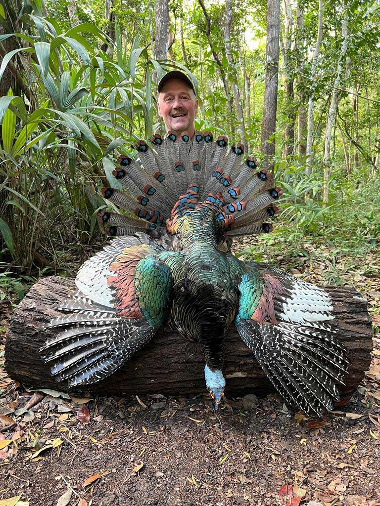 Ocellated turkey hunting in Campeche