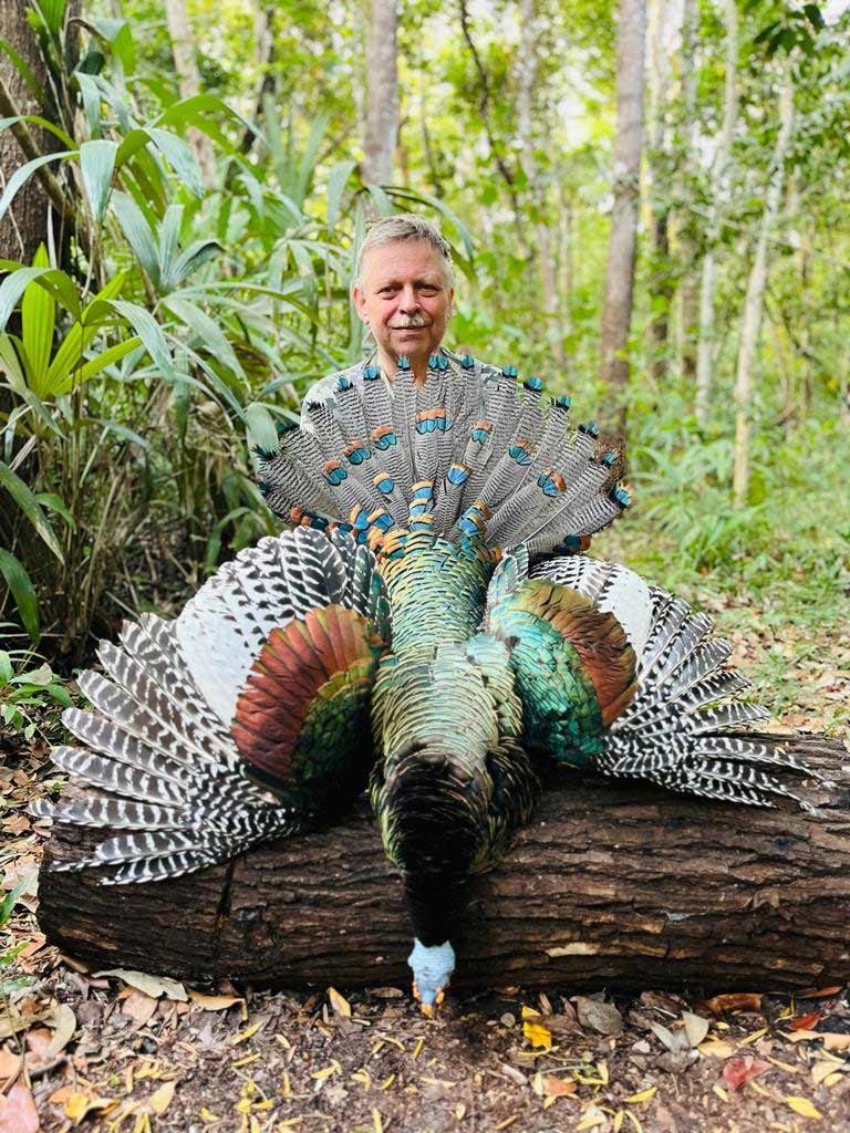 Campeche turkey hunting gallery