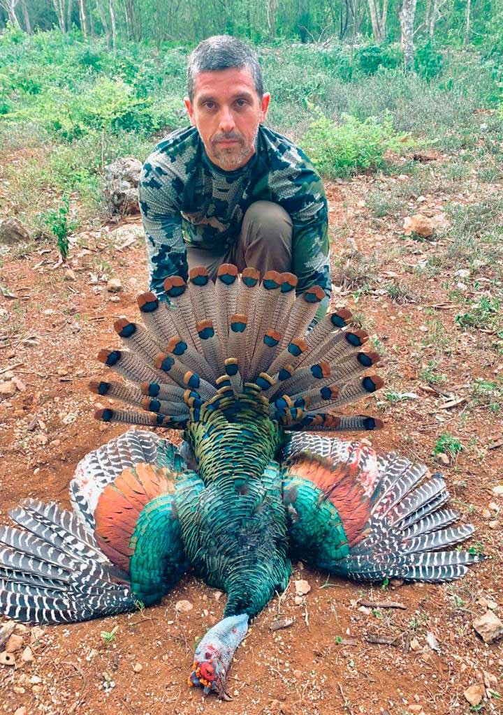 A jungle turkey hunting memory