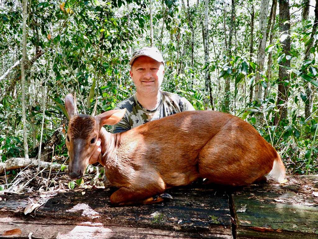 Red brocket deer hunting gallery