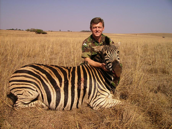 Zebra safari photography