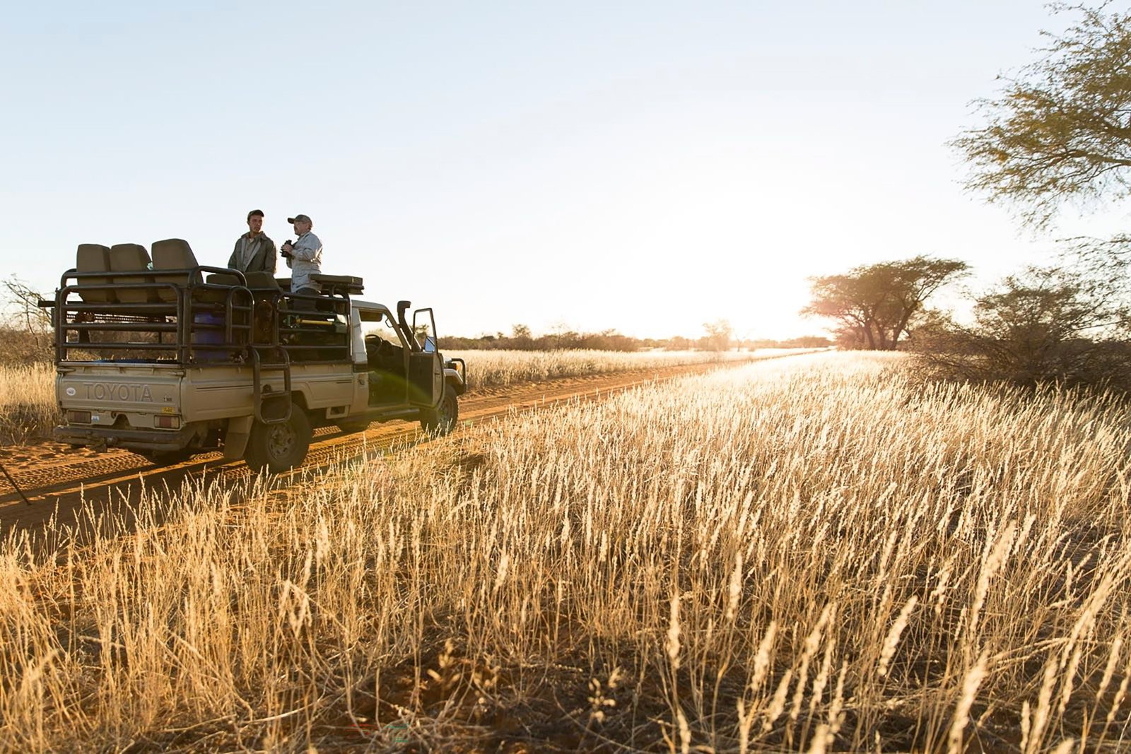 Game drives