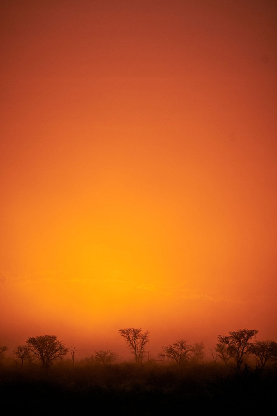 Sunset over the Kalahari