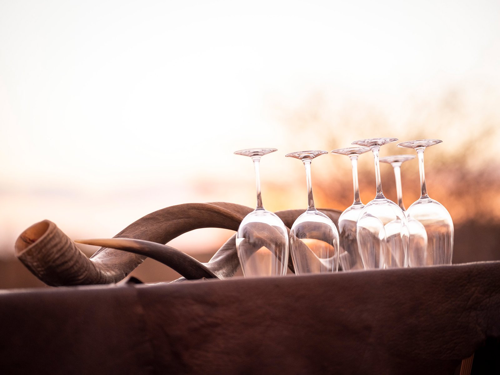 Sundowners at the lodge